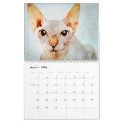 Calendrier 2023 Sphynx Chat Propriétaires Amateurs Cadeau (Mar 2026)