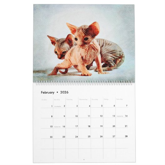 Calendrier 2023 Sphynx Chat Propriétaires Amateurs Cadeau (Feb 2026)