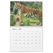 Calendrier 2023 Tiger Photographie Animal sauvage (Feb 2026)