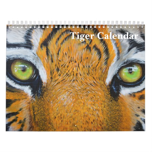Calendrier 2023 Tiger Photographie Animal sauvage (Protection)