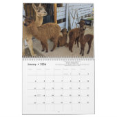 Calendrier 2023 - Une année d'Alpacas (Jan 2026)