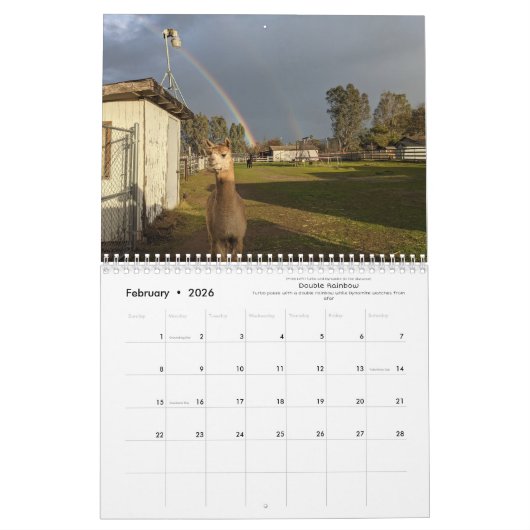 Calendrier 2023 - Une année d'Alpacas (Feb 2026)