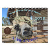 Calendrier 2023 - Une année d'Alpacas (Protection)