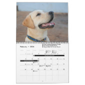 Calendrier 2023 | Vacances de chiens | Créez votre propre pho (Feb 2026)