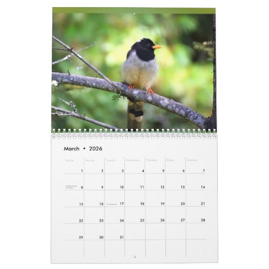 Calendrier 2024 (Mar 2026)