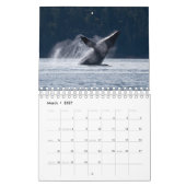 Calendrier 2024 avec baleines à bosse (Mar 2027)