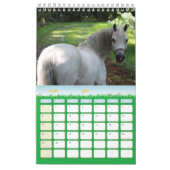 Calendrier 2024 chevaux France (Mar 2027)