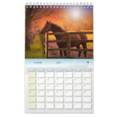 Calendrier 2024 chevaux France (Feb 2027)