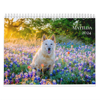 Calendrier 2024 de Matilda