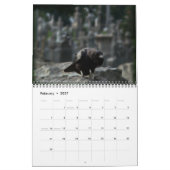 Calendrier 2024 des corbeaux noirs (Feb 2027)