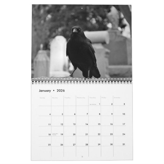 Calendrier 2024 des corbeaux noirs (Jan 2026)