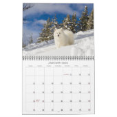 Calendrier 2024 des ours de riz à la noix de coco (Jan 2026)