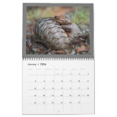 Calendrier 2024 du Fonds de Secourt Pangolin (Jan 2026)