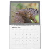 Calendrier 2024 du Fonds de Secourt Pangolin (Feb 2026)
