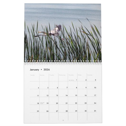 Calendrier 2024 Egrets & Herons (Jan 2026)