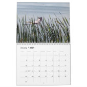 Calendrier 2024 Egrets & Herons (Jan 2027)