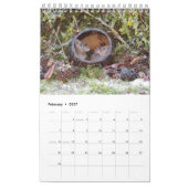 Calendrier 2024 George la souris dans une pile de rondins (Feb 2027)