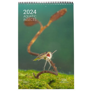Calendrier 2024 - Insectes aquatiques
