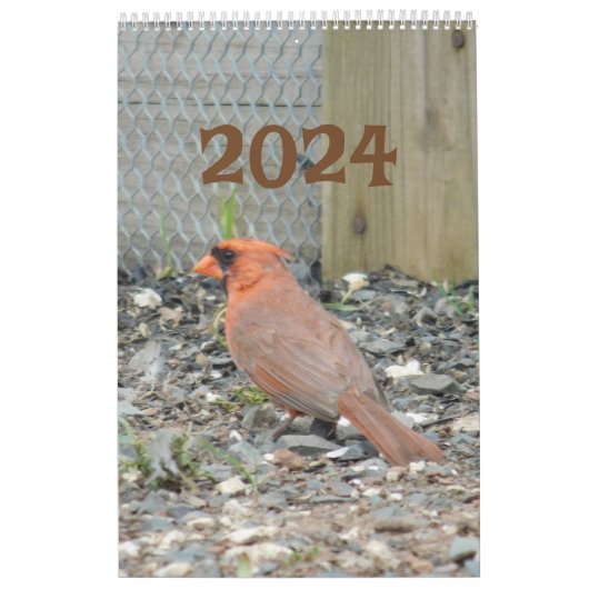 Calendrier 2024 Jardin Birds (Protection)