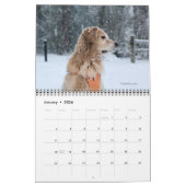 Calendrier 2024 - Le meilleur de Reser (Jan 2026)