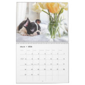 Calendrier 2024 Mignonne Chiot - Calendrier photo  (Mar 2026)