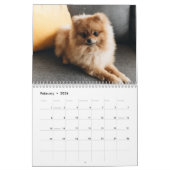 Calendrier 2024 Mignonne Chiot - Calendrier photo  (Feb 2026)