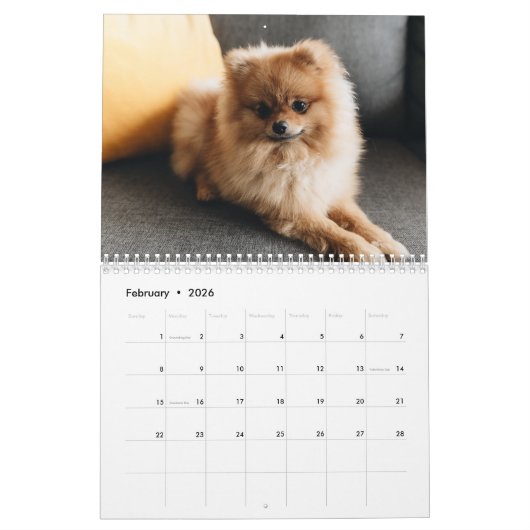 Calendrier 2024 Mignonne Chiot - Calendrier photo  (Feb 2026)