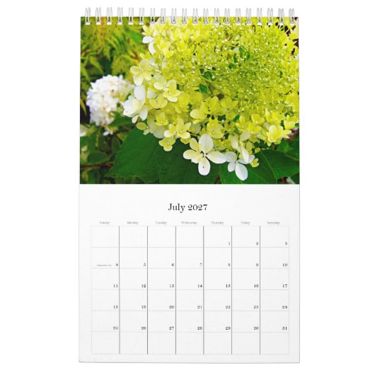 Calendrier 2024 My Rubio Garden Elegant Hydrangeas (Jul 2027)