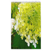 Calendrier 2024 My Rubio Garden Elegant Hydrangeas (Protection)