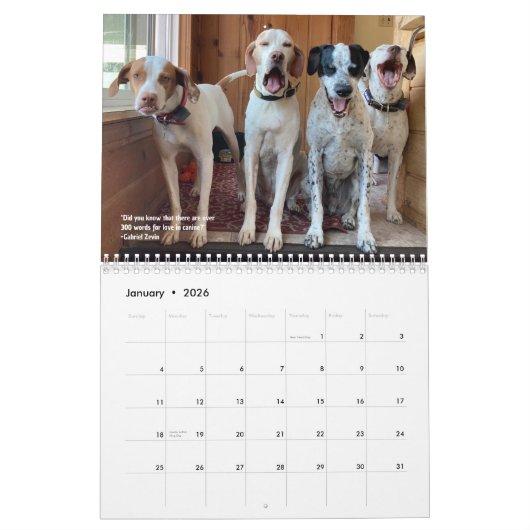Calendrier 2024 Pointers & Pals PRO 25e anniversai (Jan 2026)