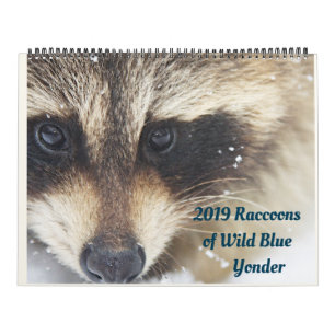 Calendrier 2024 Raccoons of Wild Blue Yonder Wildlife Secourt