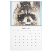 Calendrier 2024 Raccoons of Wild Blue Yonder Wildlife Secourt (Jan 2026)