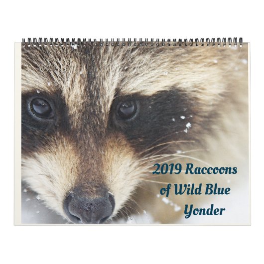 Calendrier 2024 Raccoons of Wild Blue Yonder Wildlife Secourt (Protection)