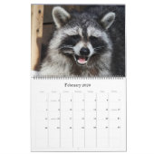 Calendrier 2024 Raccoons of Wild Blue Yonder Wildlife Secourt (Feb 2026)