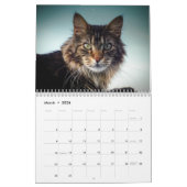 Calendrier 2024 Top Cats UK Events & Holidays (Mar 2026)