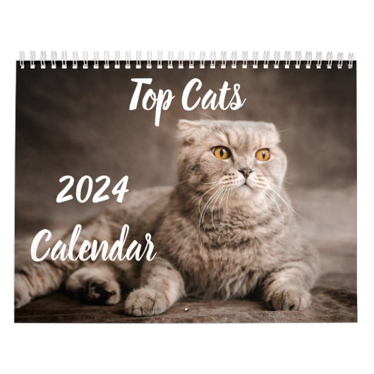 Calendrier 2024 Top Cats UK Events & Holidays (Protection)