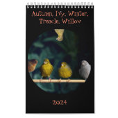 Calendrier 2024 Wall Calendar Mignons Oiseaux Animaux Animaux (Protection)