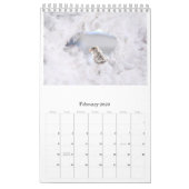 Calendrier 2024 Wall Calendar Mignons Oiseaux Animaux Animaux (Feb 2026)
