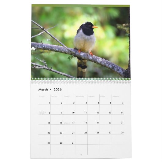 Calendrier 2024 - Wishing for Peace (Mar 2026)