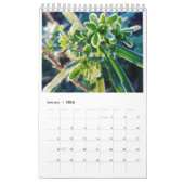 Calendrier 2025 (Jan 2026)