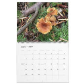 Calendrier 2025 (Mar 2027)