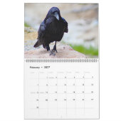 Calendrier 2025 (Feb 2027)