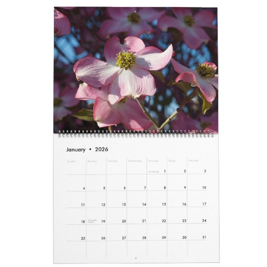 Calendrier 2025 (Jan 2026)