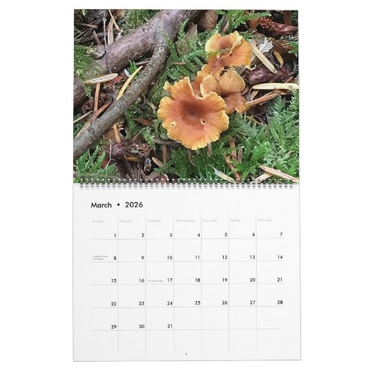 Calendrier 2025 (Mar 2026)