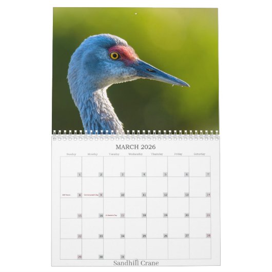 Calendrier 2025 (Mar 2026)