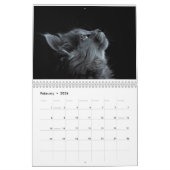 CALENDRIER 2025 (Feb 2026)