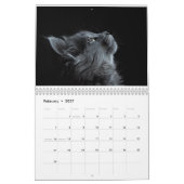 CALENDRIER 2025 (Feb 2027)