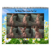 Calendrier 2025 (Protection)