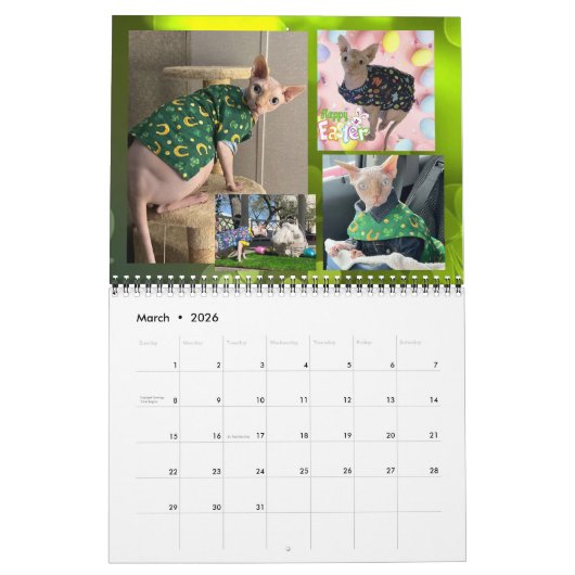 Calendrier 2025 (Mar 2026)