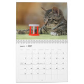 Calendrier 2025 (Mar 2027)